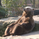 Image for article titled Be Like This Bear
